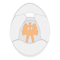 Schuberth накладка верхняя внутренняя для шлема SF4 / SP1 / SK1, 7 мм - M (57) / L (58-59) / XL (62) /XXL (63), черный